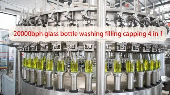 Carbonated Beverage Producing Equipment for Pet or Glass Bottle 