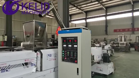 Stainless Steel High Quality Puffed Snack Food Equipment 