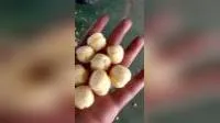 Corn Puff Core Filled Filling Stick Snack Food Cheese Ball Breakfast Cereal Flake Bread Crumb Making Processing Equipment Extrud 