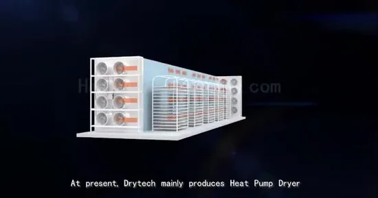 Vegetable Processing Equipment Onion Drying Machine Sweet Potato Heat Pump Mango Dryer Spice Apple Fruit Garlic Drying Machine 