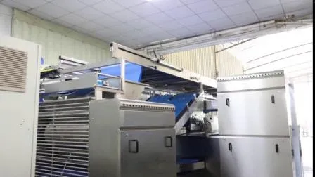 Automatic Soft & Hard Biscuit Production Line Industrial Snack Equipment 